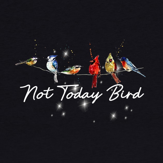 Not Today Bird Costume Gift by Pretr=ty